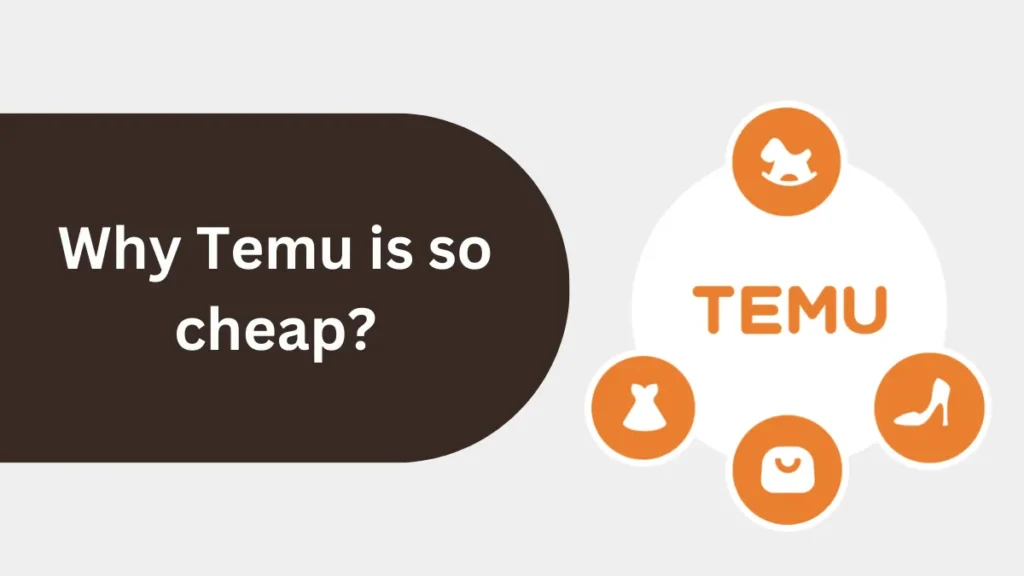 Why Temu is so cheap?