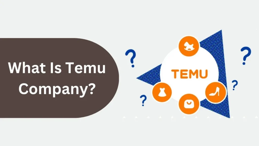What Is Temu Company?